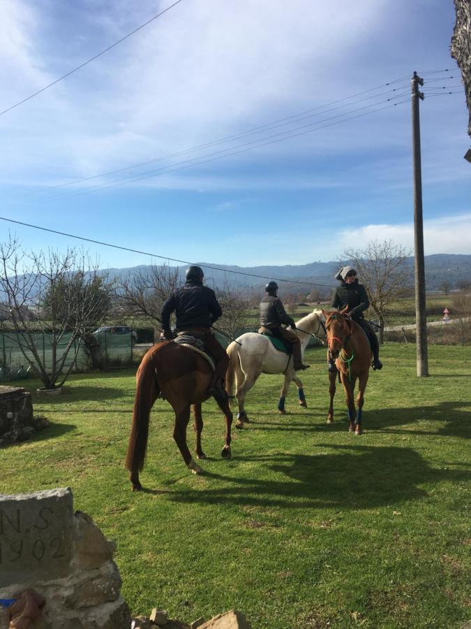 La Villa Romantica Ciggiano Esterno foto